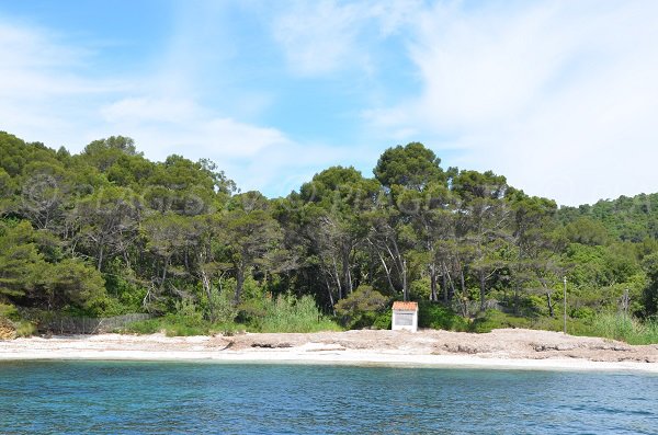 Beach of the Calanque of the Tripe in Bormes les Mimosas