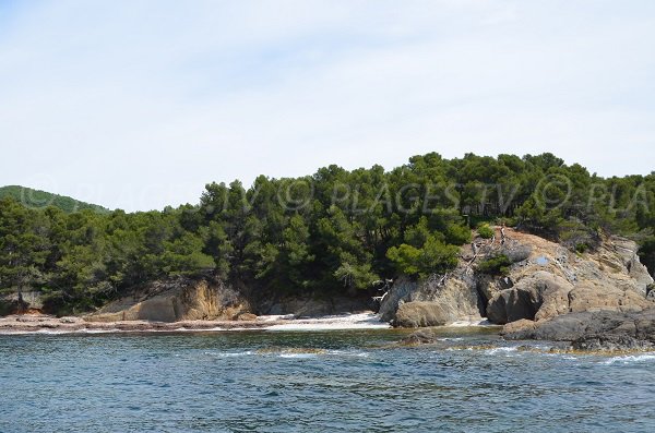 Rochers sur la plage de la Tripe à Bormes les Mimosas