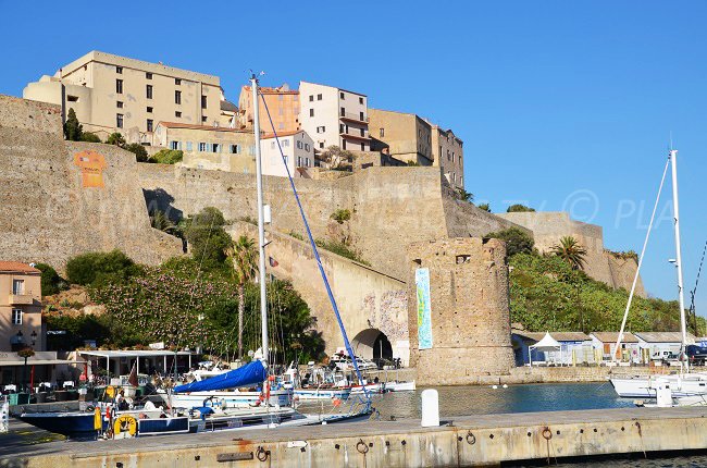 Citadelle de Calvi