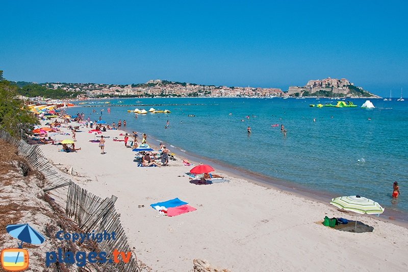 La plage du centre de Calvi