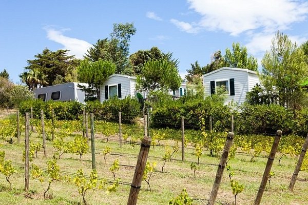 Camping et vignoble à Argeles