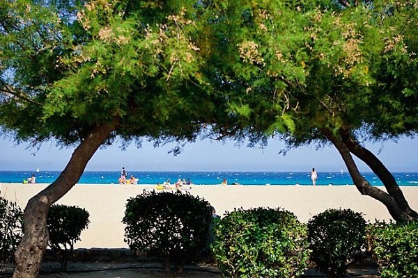 Plage à proximité du camping de la Chapelle - Argelès