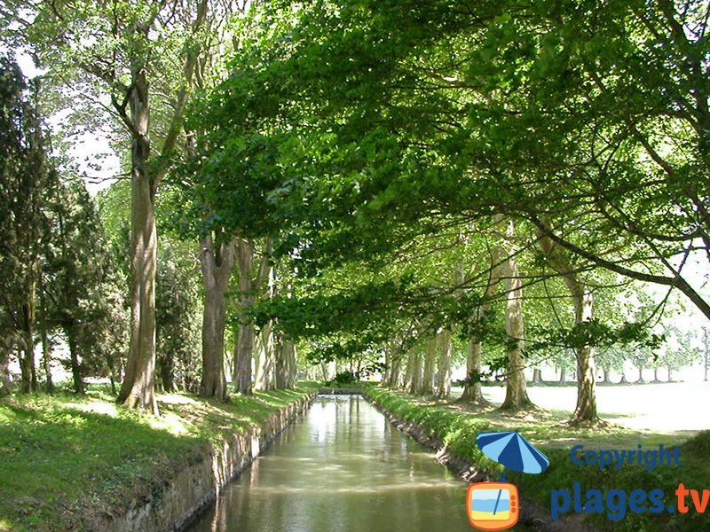 Canal du Midi à Toulouse