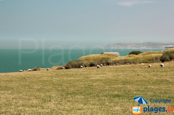 Vue sur le Cap Blanc Nez depuis le Cap Gris Nez