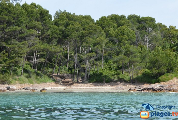 Crique du Cap Léoube - une plage secrète du Var