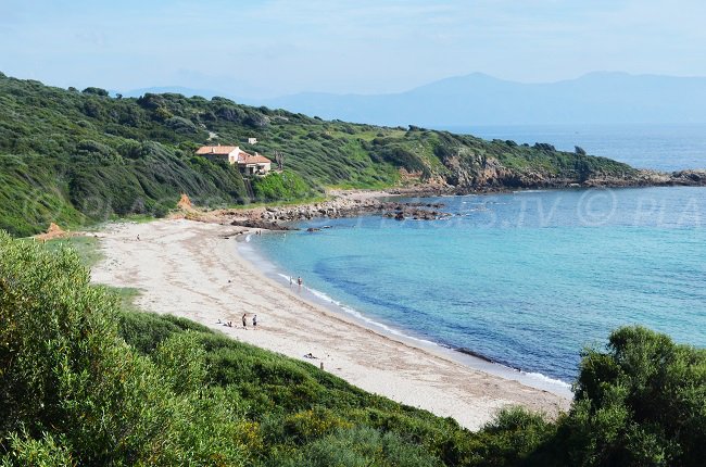 Crique de Capizzolu dans la baie de Sagone