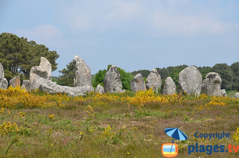 Menhirs de Carnac en Bretagne