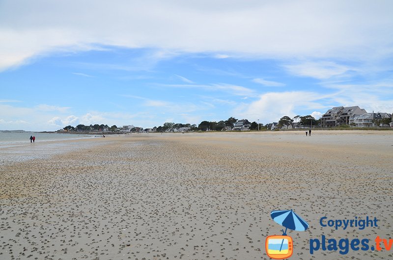 Grande plage de Carnac à marée basse