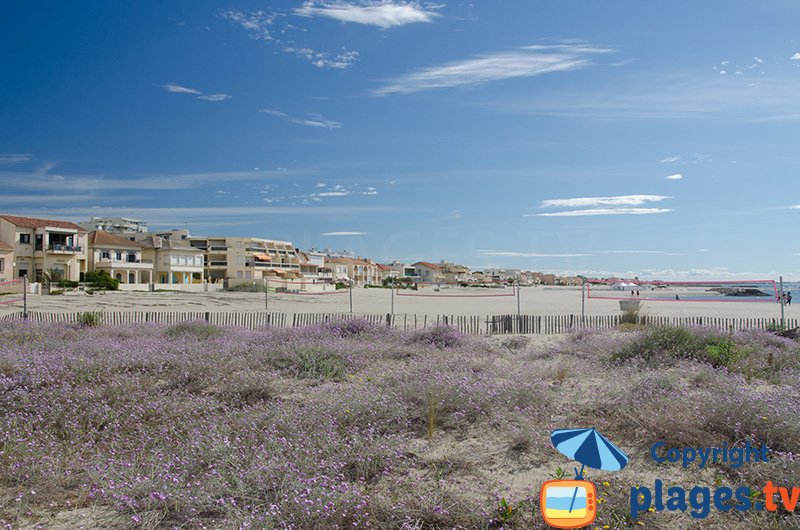 Carnon : le bord de mer et sa plage du centre