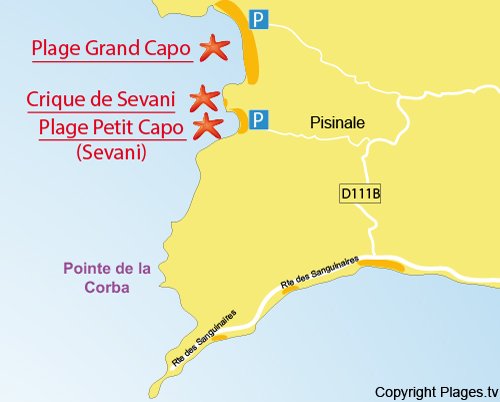 Mappa della Cricca di Sevani a Ajaccio