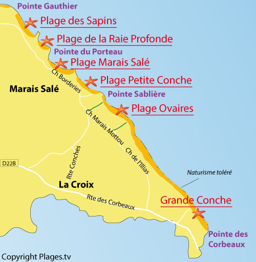 Map of Grande Conche Beach in Ile d'Yeu