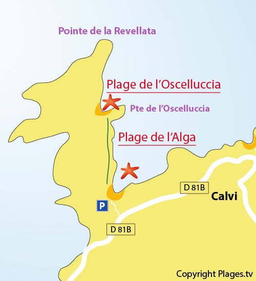 Map of the Alga Beach in Calvi