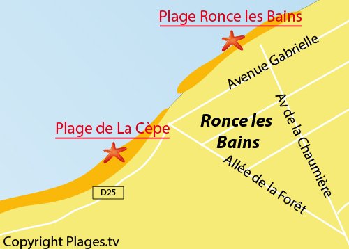 Carte de la plage de la Cèpe - Ronce les Bains - La Tremblade