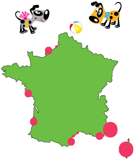 Map of dog-friendly beaches in France