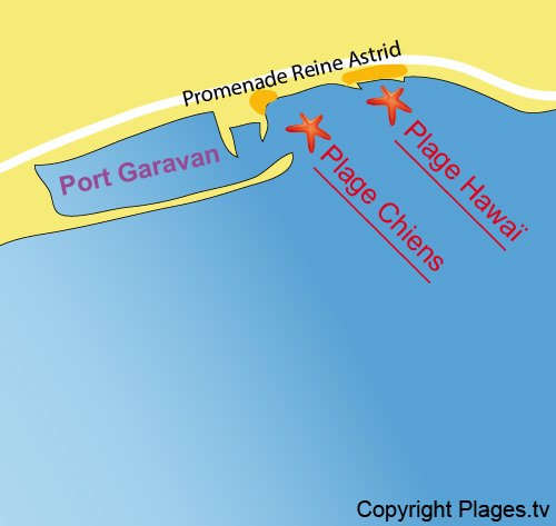 Map of the beach for dogs in Menton