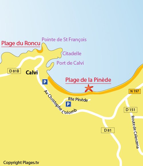 Map of the Pinède beach in Calvi