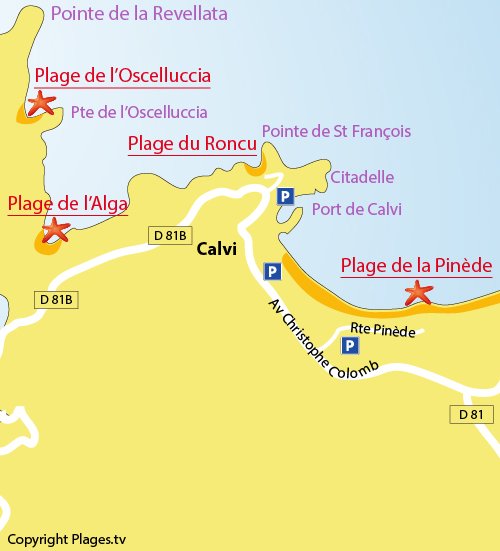 Map of the Roncu Beach in Calvi