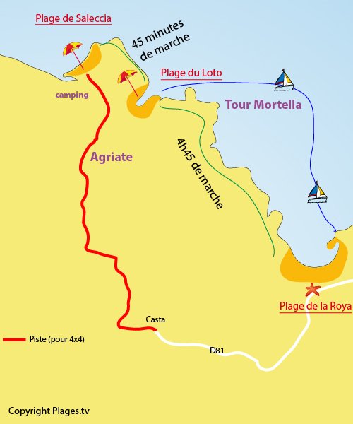 Plan de la plage de Saleccia à St Florent - Agriate