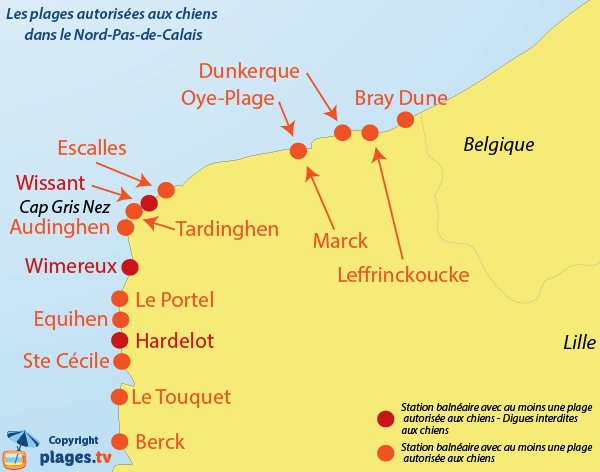 Carte des plages autorisées aux chiens dans le Nord Pas de Calais