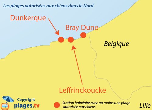 Plages autorisées aux chiens dans le nord