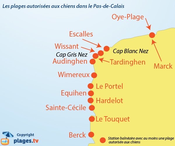 Plages autorisées aux chiens dans le Pas de Calais