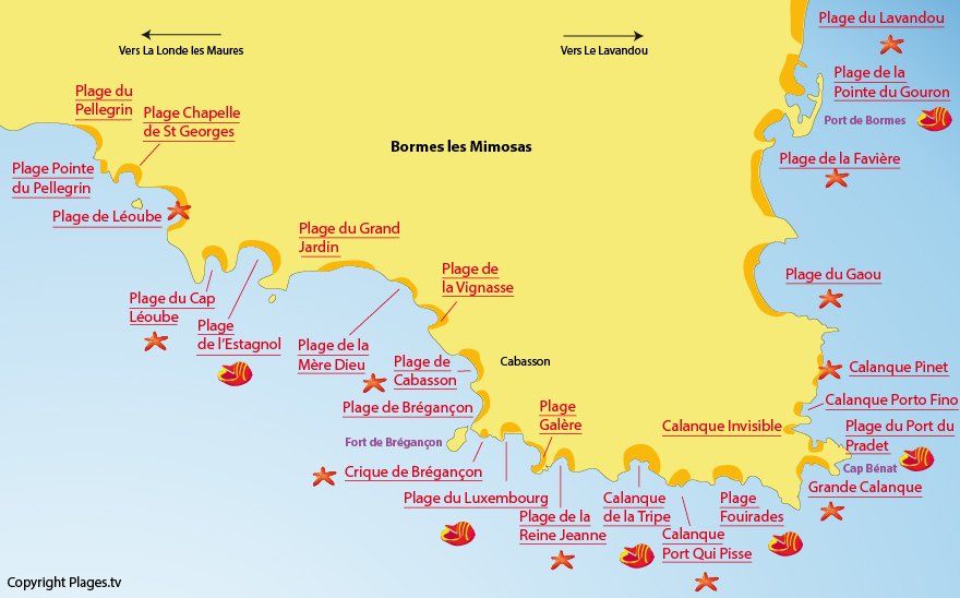 bormes les mimosas carte de france