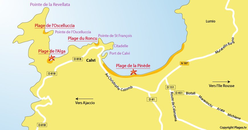 calvi carte