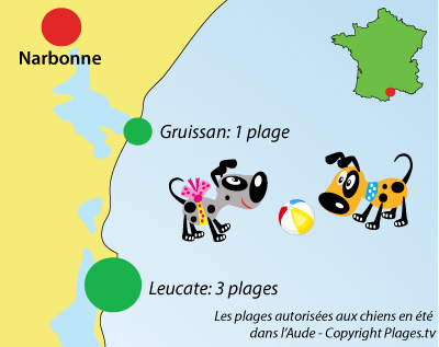 Carte des plages autorisées aux chiens dans l'Aude