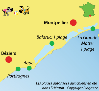 Carte des plages autorisées aux chiens dans l'Hérault