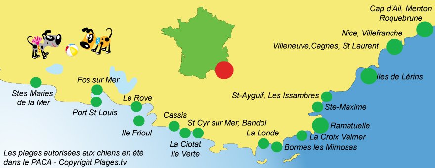 Carte des plages autorisées aux chiens dans le PACA