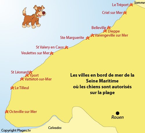 Carte des plages autorisés aux chiens en Seine Maritime