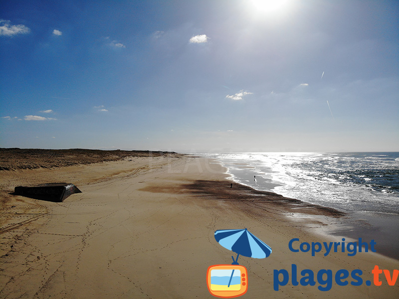 Wild beach of Seignosse - The Casernes