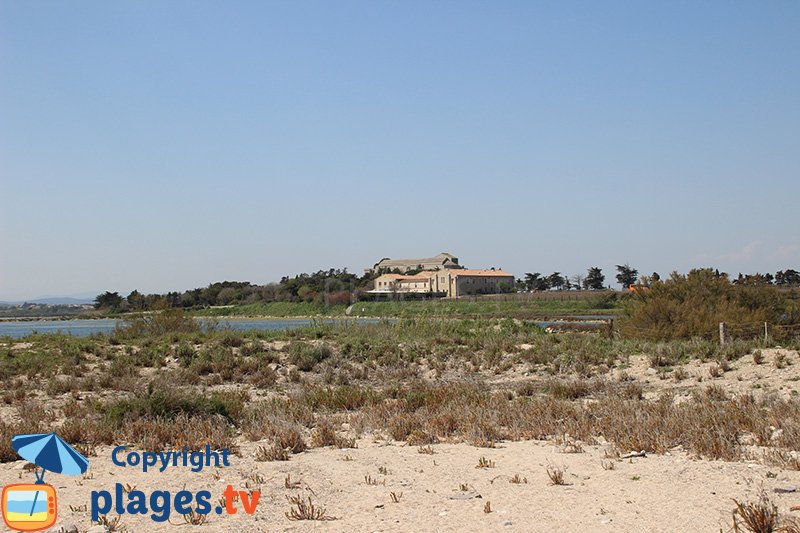 Cathédrale de Maguelone à proximité de la plage