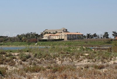 Cathedral of Maguelone - beach area