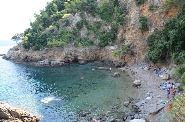 Calanque à Cavalaire sur Mer - Cron