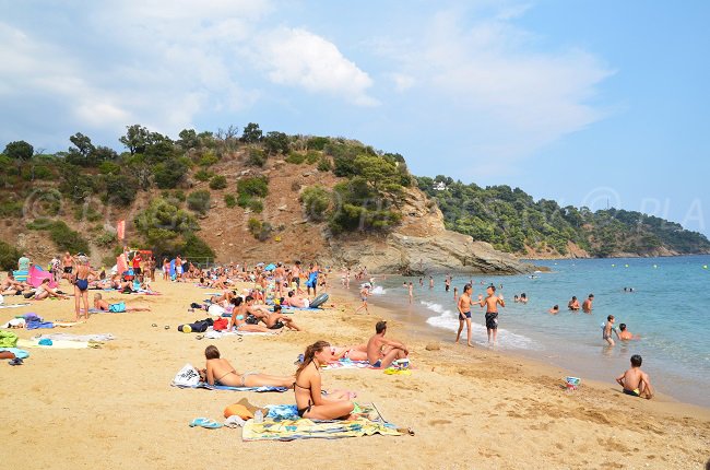 Plage à l'entrée de Cavalaire sur Mer