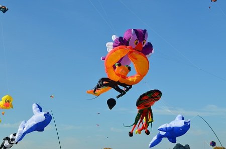 Manifestation de Cerf-Volant à Fréjus