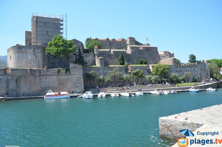 Château de Collioure