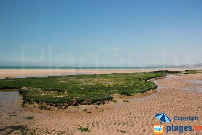 Plage du Chatelet à marée basse: idéal pour la baignade et la pêche