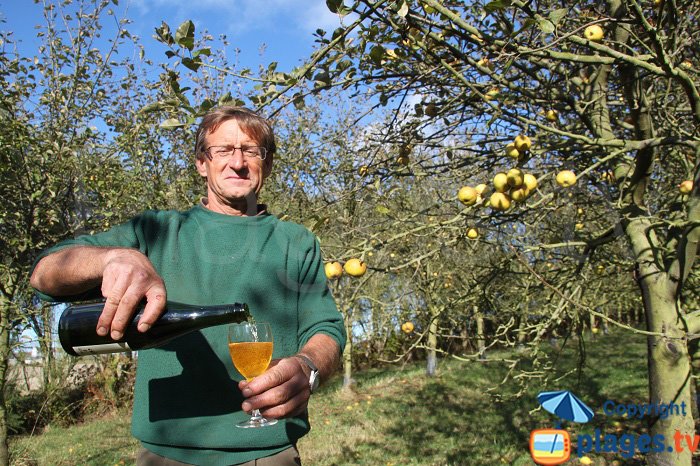 Cidre du verger de Kernivinen