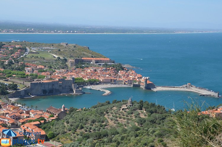 Aerial view of Collioure in France