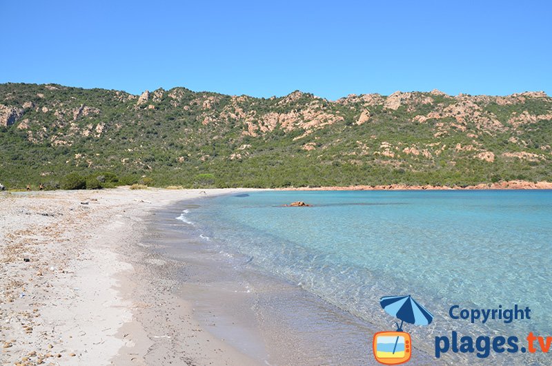 Porto Novu : la plage confidentielle dans les environs de Porto Vecchio