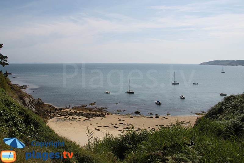 Côte verdoyante à Belle Ile à proximité de Locmaria