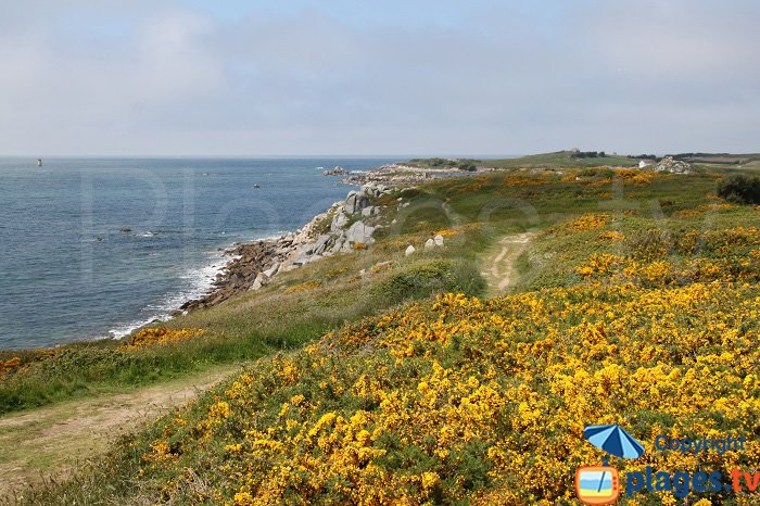 Cote sauvage de l'ile de Batz