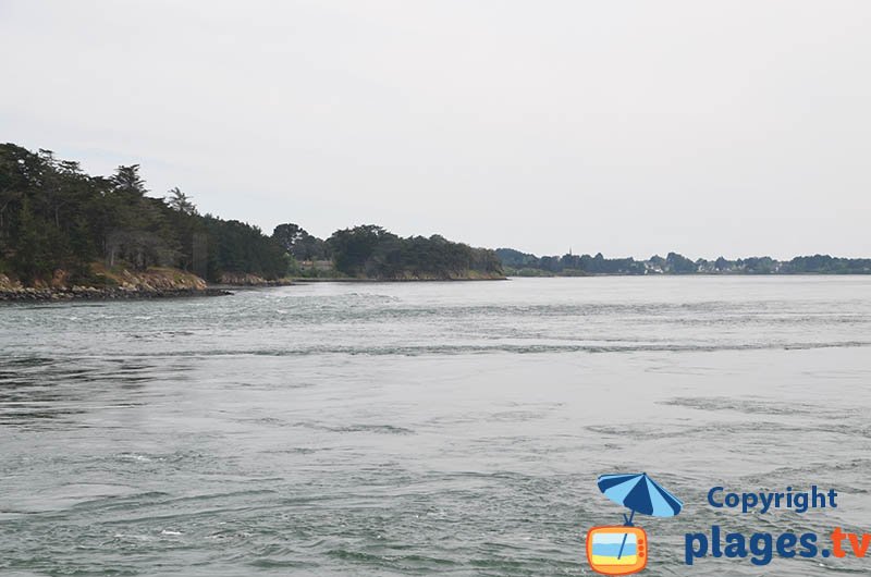 Courant dans le golfe du Morbihan