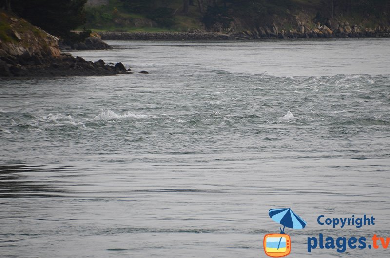 Courants dans le golfe du Morbihan