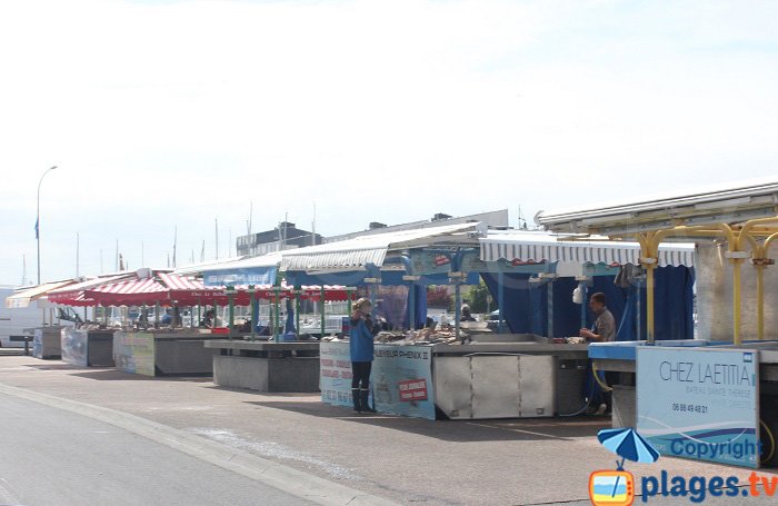 Criée de Courseulles sur Mer