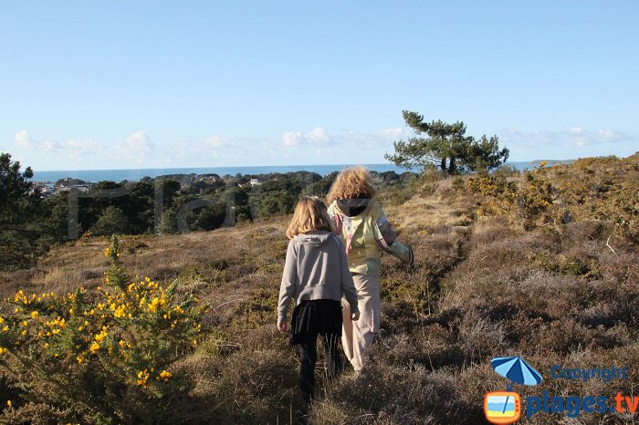 Unspoiled moors around semaphore