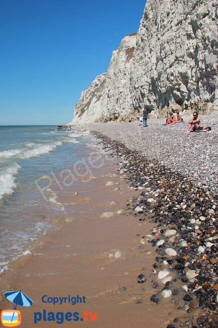 Cran d'Escalles au pied du Cap Blanc