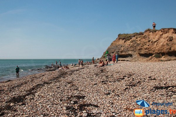 Cran du Noirda with cliffs of Gris Nez